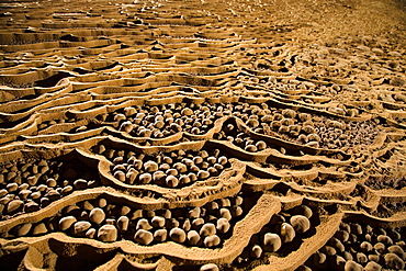 Hang Son Doong, located in Phong Nha Ke Bang National Park, Vietnam, is home to a high quantity of rare cave pearls.