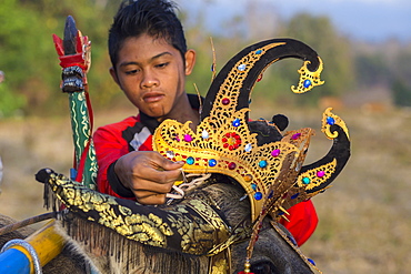 Buffalo race. Bali island. Indonesia. ?Makepung? in the Balinese language means buffalo racing. This unique spectacle is practiced by farmers from the North Western Jembrana region of Bali.