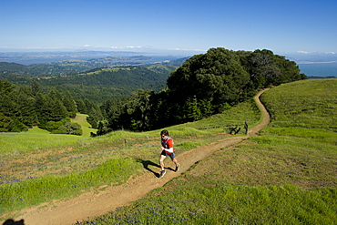 Man runs trails in the Marin Headlands in California.