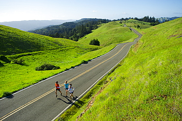 A group run trails in the Marin Headlands in California.