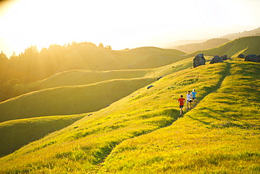 A group run trails in the Marin Headlands in California.