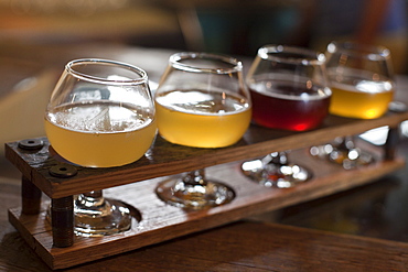 Glasses of beer poured at Allagash Brewery for tasting