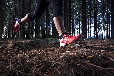 Female athlete running on a trail through a pine plantation in North West Tasmania.