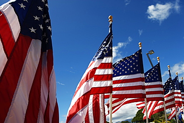 American flags blowing in the breeze.