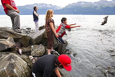 Children catch and throw salmon over the access gate at the Salomon Gulch Hatchery near Valdez, Alaska. The gate opens and closes on a schedule to regulate the return of salmon to the hatchery.