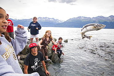 Children catch and throw salmon over the access gate at the Salomon Gulch Hatchery near Valdez, Alaska. The gate opens and closes on a schedule to regulate the return of salmon to the hatchery.