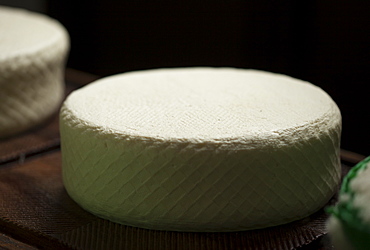 Pecorino cheese in Quesos Oliva artisanal cheese making workshop in Villaluenga del Rosario, Sierra de Grazalema Natural Park, Cadiz province, Andalusia, Spain