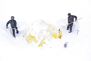 Two climbers dig out their tent after a snowstorm covered them in 14k camp on Mount McKinley, Alaska. Climbers are advised to spare no expense on a expedition-quality tent as it can mean the difference between life and death during a ferocious storm on Denali. Extra poles and repair materials are important in case of damage caused by storms. Plan to take extra pickets, wands or deadmen for tent anchors. Never leave a tent without anchoring it securely. Tents are lost each year due to sudden gusts of wind while the tent was left unattended or drying. Every climbing season High Mountain Rangers of the Denali National Park Service are called to help climbers in need. If possible the patient is brought down to base camp on foot, only in life threatening conditions a helicopter is called to evacuate the patient to a hospital in Anchorage.