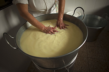 A woman works making Pecorino cheese in Quesos Oliva artisanal cheese making workshop in Villaluenga del Rosario, Sierra de Grazalema Natural Park, Cadiz province, Andalusia, Spain