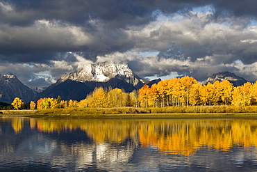 Aspens hang on to their last colors as winter's chill forms over Mt. Moran in Grand Teton National Park, Wyoming.