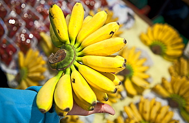 small bananas at a open air market in Thailand