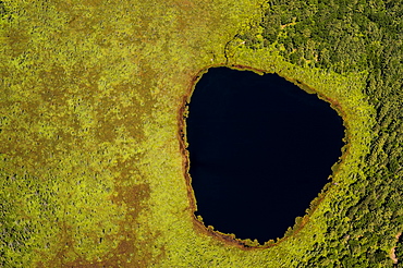 Aerial view of a pond surrounded by swamps and trees.