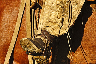 Gaucho riding horse in Patagonia, Argentina