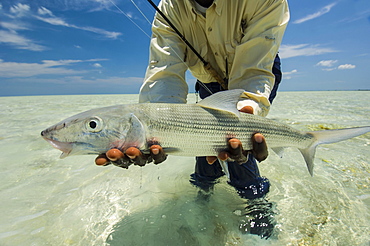 Fly fishing in the Bahamas