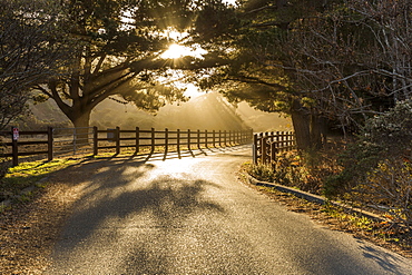 A country road on sunset near Big Sur, California