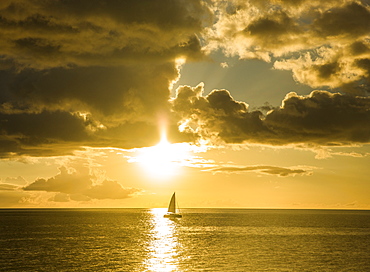 West coast of Dominica