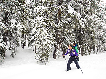 Mom and son snowshoeing toward the the Peter Grubb Hut, Sierra Nevada
