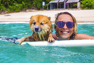 Surfer girl and funny dog in ocean water.