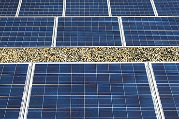 Solar panels on the roof of a school in the town of Zwolle, the Netherlands.