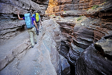 Hikers walk along Deer Creek Narrows in the Grand Canyon outside of Fredonia, Arizona November 2011.  The 21.4-mile loop starts at the Bill Hall trailhead on the North Rim and descends 2000-feet in 2.5-miles through Coconino Sandstone to the level Esplanada then descends further into the lower canyon through a break in the 400-foot-tall Redwall to access Surprise Valley.  Hikers connect Thunder River and Tapeats Creek to a route along the Colorado River and climb out Deer Creek.