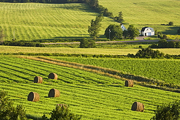 Farm fields near French River, Prince Edward Island, Canada