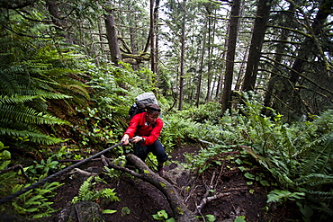 A man uses a rope to help pull himself up the steep slopes while hiking on the coast of Olympic National Park, Washington, United States of America