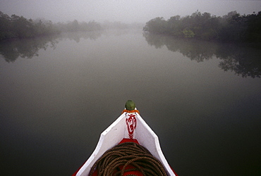 The Sundarban Nature Reserve, West Bengal, India