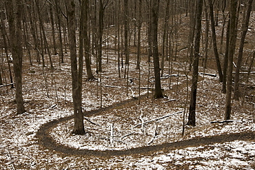 Spirits Creek, Ozark Highlands Trail, Arkansas, United States of America