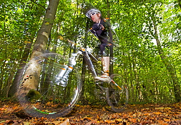 Mountain Bike rider..Single  rider racing through woodlands in Autumn/Fall during a cross country race.Forest of Dean,UK