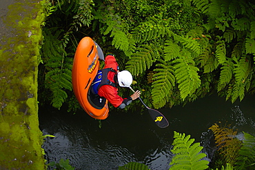 A man seal launches oft a bridge on the Alseseca River in the Veracruz region of Mexico, United States of America