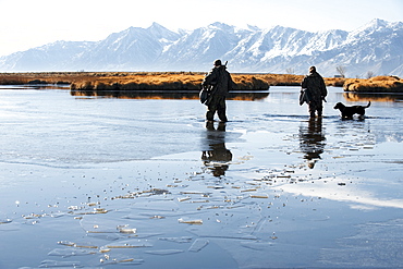 Brad Jackson and Corey Funk hunt ducks with their dog Grizzly in Carson City, NV, United States of America