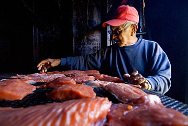 Oct 7, 2008 Mt Vernon, Washington Filletting and smoking salmon with tribal member Mike Cladoosby who has been fishing and preparing fish this way for over 60 yrs, United States of America