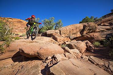 Man mountain biking on a trail in a desert environment.