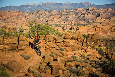 Man mountain biking on a trail in a desert environment.
