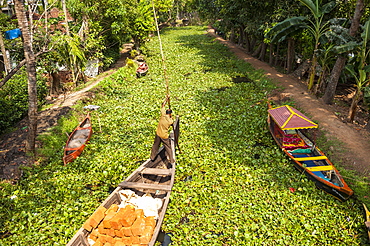 Backwaters near Allapuzha, Kerala, India.