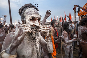 Sadhus or holy men during Kumbh Mela, Allahabad, Uttar Pradesh, India.