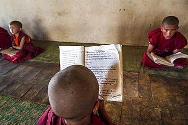 Young monks in a monastery school in Likir, Ladakh, India.