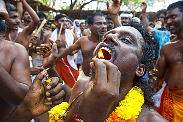 Devotees taking part Kodungalloor Bharani festival in Kerala, India.