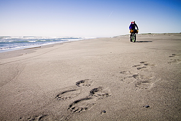 Man Fatbiking