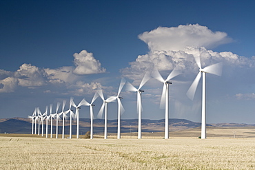 Electricity generating wind turbines