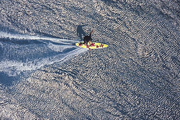 woman tow surfing giant waves at Outside Avalanche, on the north shore of Oahu, Hawaii.