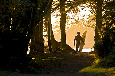 A surfer walks down a path to check the surf.