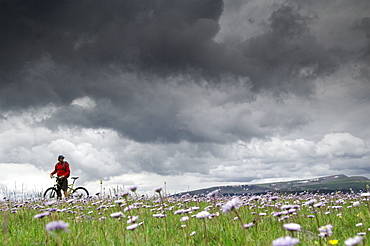 A man sitting on his mountain bike in a field of purple flowers and stormy grey clouds enjoying the view.