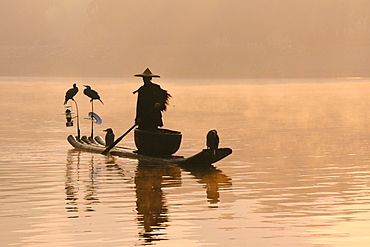 Chinese fisherman fishing in Li Jang River with cormorant birds, Guilin, China