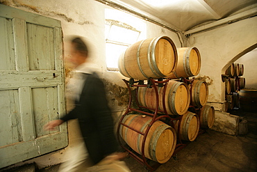 Petrolo barrel cellar