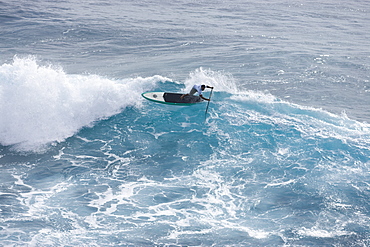 A man SUP surfing, at the Kuikaika Challenge in, Oahu, 02.14.08