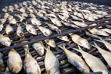 Fish being smoked in Monrovia, Liberia.