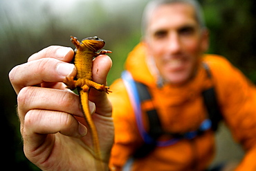 Man holding a salamander after trail running.