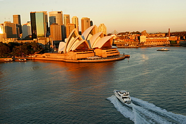 Motor yacht in the bay of Sydney during sunrise.