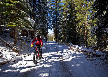 Fat Tire Biking